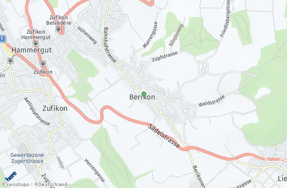 Berikon