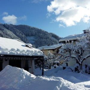 Honig, 50 (BE)